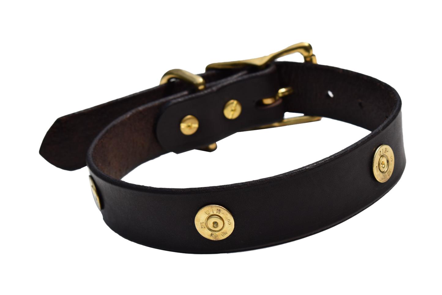 Dog Collar Decorated With Shotgun Shells