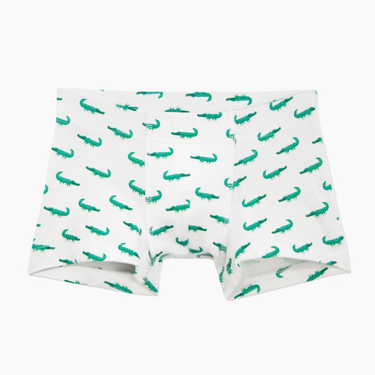 boys boxer brief underwear