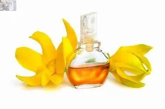 Aromatherapy Bath Oils - 2 Ounces